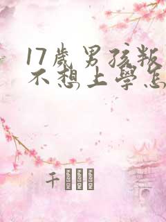 17岁男孩叛逆不想上学怎么办