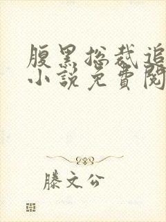 腹黑总裁追妻忙小说免费阅读