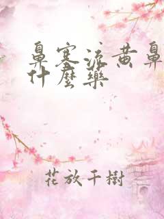 鼻塞流黄鼻涕吃什么药