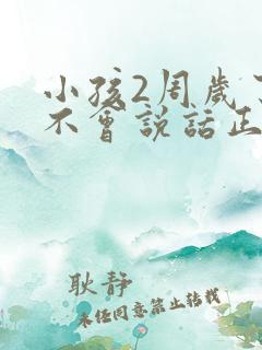 小孩2周岁了还不会说话正常吗