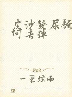 皮沙发尿骚味如何去掉