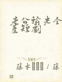 老公输光全部家产短剧