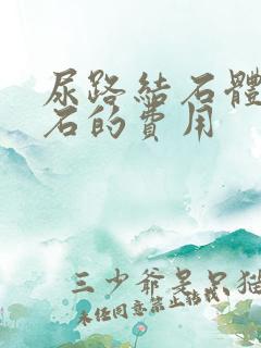 尿路结石体外碎石的费用