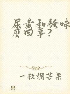 尿黄和骚味重怎么回事?