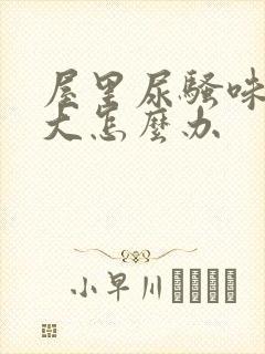 屋里尿骚味特别大怎么办