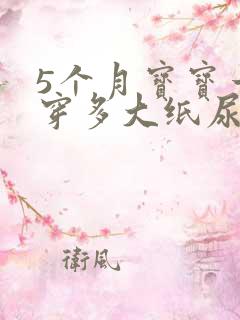 5个月宝宝一般穿多大纸尿裤