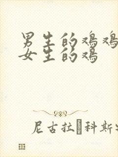 男生的鸡鸡插进女生的鸡