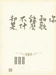 却不能和你结婚是什么歌