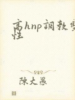 高hnp调教双性