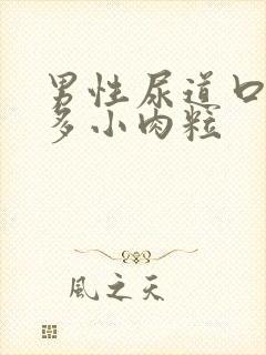 男性尿道口有许多小肉粒