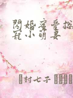 闪婚蜜爱总裁独宠小萌妻