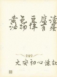 黄色豆腐渣样分泌物伴有瘙痒吃什么药