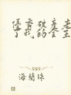 优秀破产老公成了我的金主