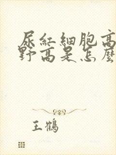 尿红细胞高倍视野高是怎么回事