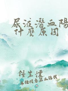 尿液潜血阳性1 什么原因