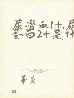 尿潜血1+,尿蛋白2+是什么意思