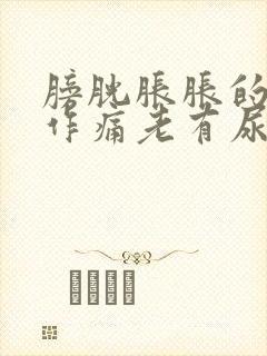 膀胱胀胀的隐隐作痛老有尿意