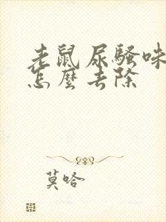 老鼠尿骚味太重怎么去除