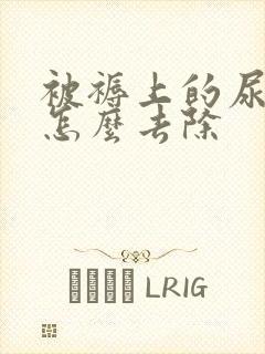 被褥上的尿骚味怎么去除