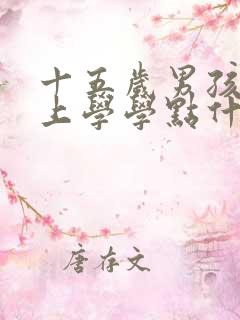 十五岁男孩不想上学学点什么技术好