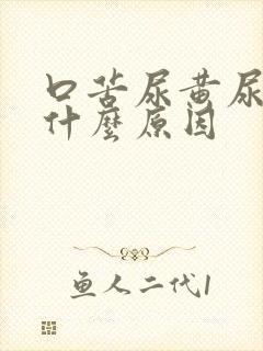 口苦尿黄尿臭是什么原因