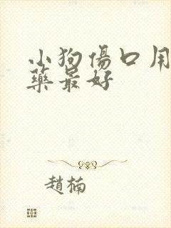 小狗伤口用什么药最好