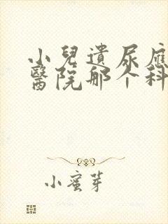 小儿遗尿应该去医院那个科