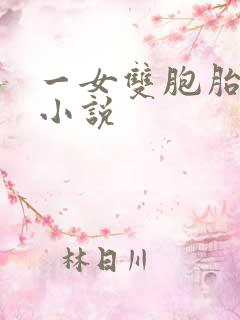 一女双胞胎男主小说