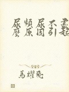 尿频尿不尽是什么原因引起的男性