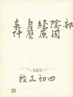 来月经阴部刺疼什么原因