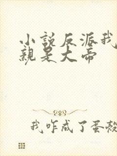 小说反派我的母亲是大帝