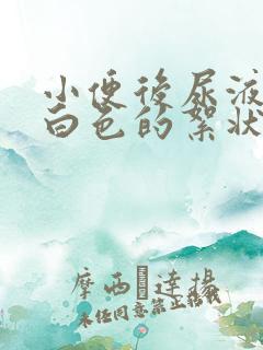 小便后尿液里有白色的絮状物是什么