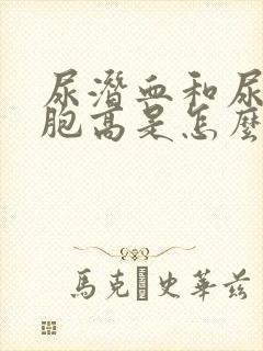 尿潜血和尿白细胞高是怎么回事