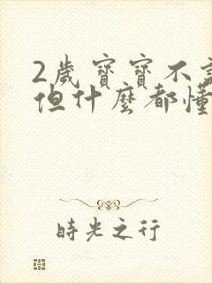 2岁宝宝不说话但什么都懂