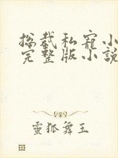 总裁私宠小娇妻完整版小说