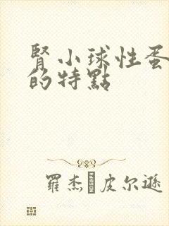 肾小球性蛋白尿的特点