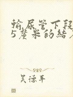 输尿管下段0.5厘米的结石怎么治疗