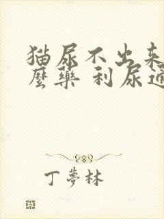 猫尿不出来吃什么药 利尿通