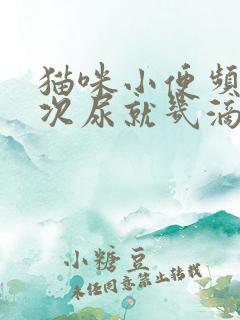 猫咪小便频繁每次尿就几滴怎么办