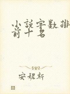 小说字数排行榜前十名