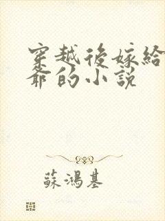 穿越后嫁给傻王爷的小说