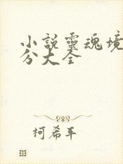 小说灵魂境界划分大全