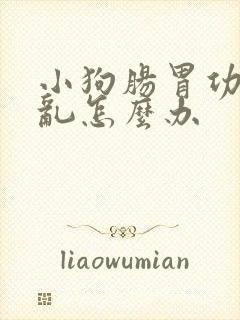 小狗肠胃功能紊乱怎么办