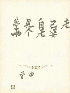 梦见自己老公有两个老婆