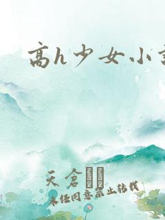 高h少女小说