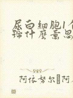 尿白细胞1个加号什么意思