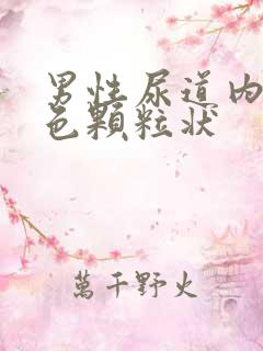 男性尿道内有白色颗粒状