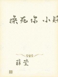 操死你 小贱货
