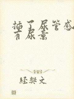 插了尿管感觉总有尿意