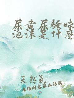 尿黄尿骚味重有泡沫是什么原因